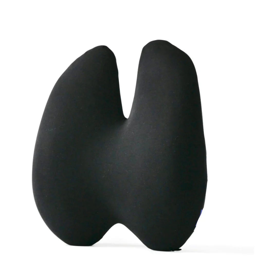 CalmCush™ Orthopedic Lumbar Cushion