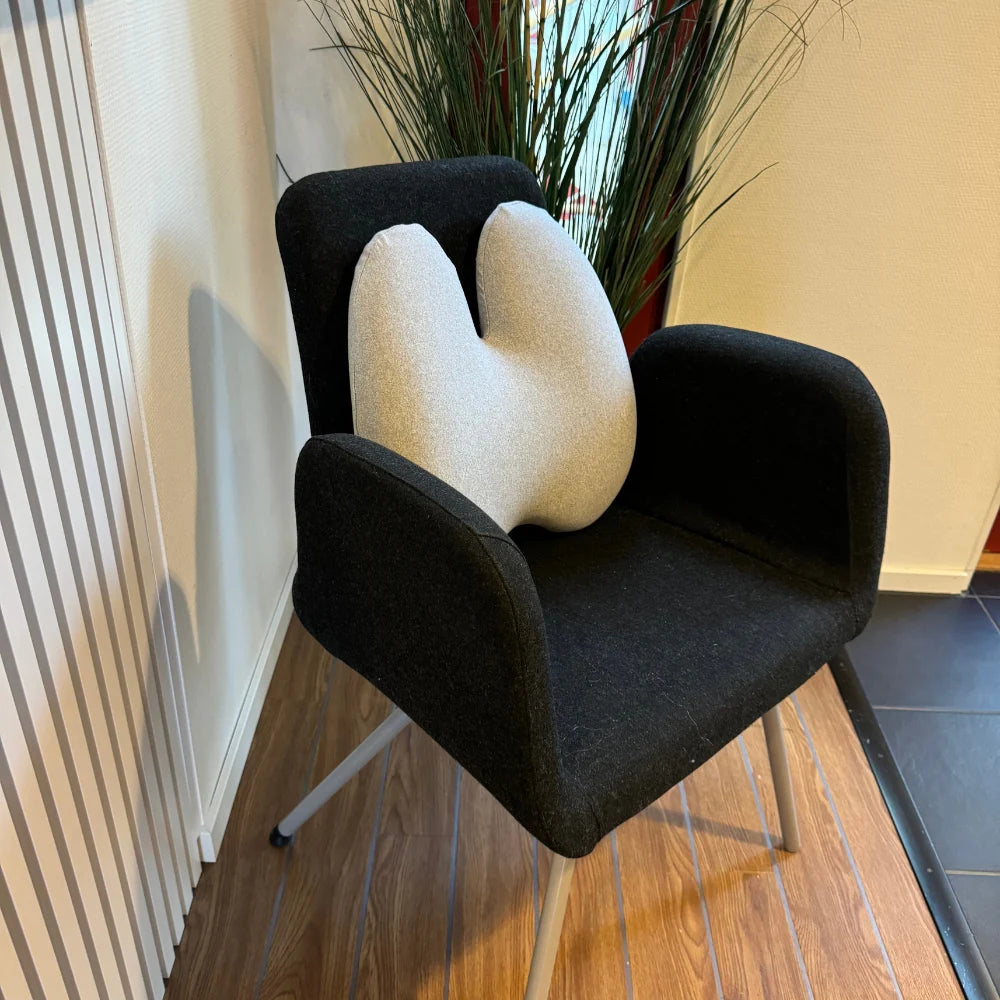 CalmCush™ Orthopedic Lumbar Cushion